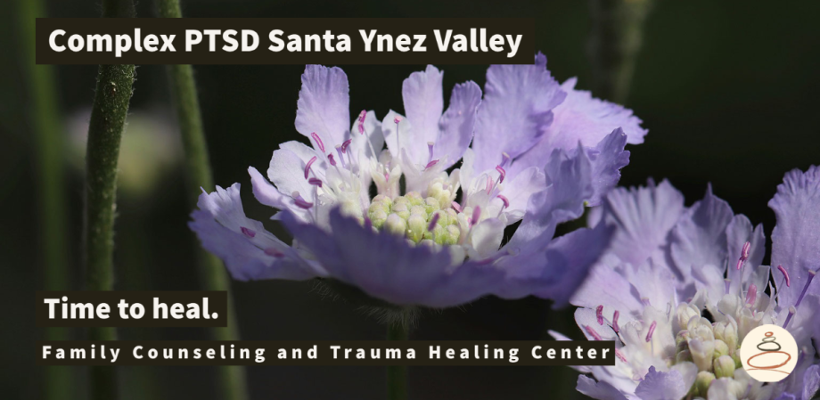 complex-ptsd-santa-ynez-valley